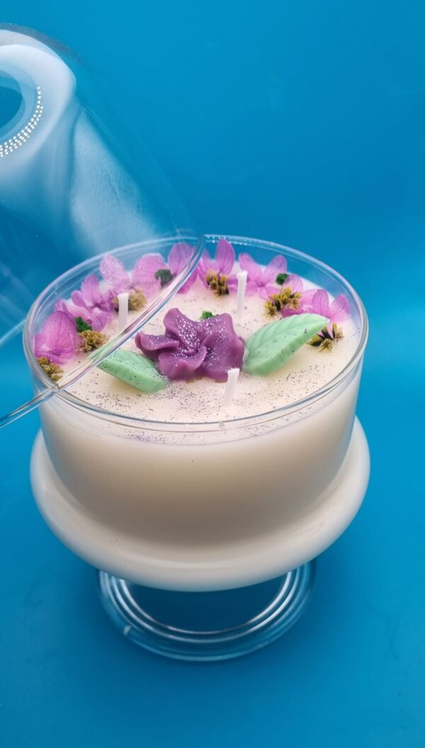 Cloche Aloe Vera
